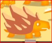Orange Turtle.jpg