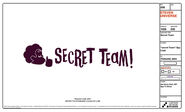 "Secret Team"