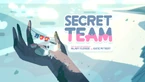 Secret Team