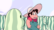 Watermelon Steven (242)