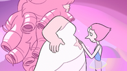 A Single Pale Rose Pregnant Rose