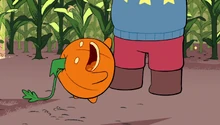 Pumpkin leening into Steven
