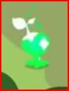 Green Plant.jpg