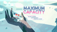 Maximum Capacity 001