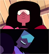 Personalitytheory garnet