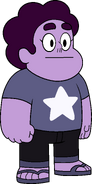 Steven (Amatista)