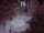 Campo de Treinamento de Rose Quartz