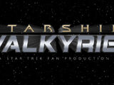 Starship Valkyrie