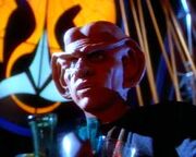 Quark (mirror)