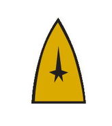 USS Intrepid Command division insignia shown.