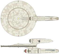 Boston dl (DD) 2-ortho