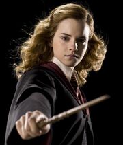 Hermione Jean Granger, Harry's wife in the correct timeline