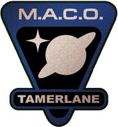 USS Tamerlane NCC-510