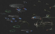 Battle of Cardassia 1