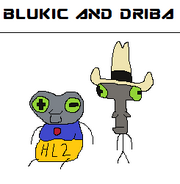 Blukic and driba ems