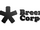 BreezeCorp Pierwsze Logo.png