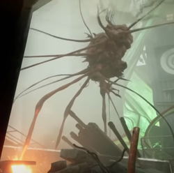 Muir | Still Wakes the Deep Wiki | Fandom