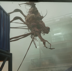 Muir | Still Wakes the Deep Wiki | Fandom