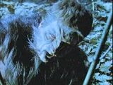 The Werewolf of Fever Swamp: Part 2 (TV Episode)