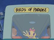Lilo & Stitch The Series - Clip - Clip waves to Gantu while riding the Birds of Paradise bus