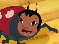Lilo as a ladybug