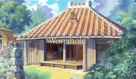 Wormhole