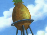 Pineapple Water Tower