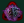 Flotte-Dilithium-Holdings icon