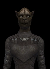 Ferasan Female 09