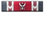 Bug Basher icon.png
