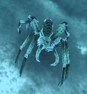 A Glikar'ma Ice Spider on Dera IV.
