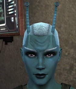 Andorianer Offizielles deutsches Star Trek Online Wiki
