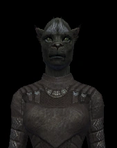 Ferasan Female 04