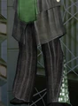 Robe - Romulan Senate