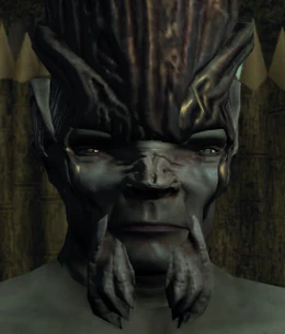 Elder Chief