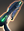 Romulan Plasma High Density Beam Rifle icon