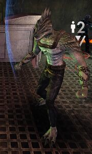 Augmented Crazy Gorn