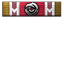 Radiant icon.png