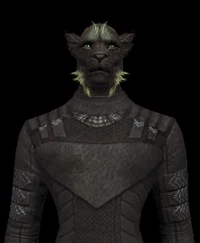 Ferasan Male 03