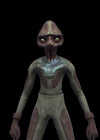 Elachi Ensign 02