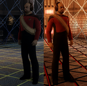 Holographic representations of Lieutenant .