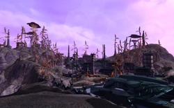 Cirini Prime surface