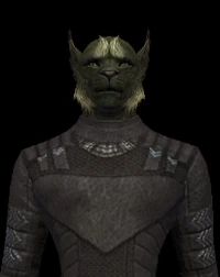 Ferasan Male 01