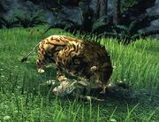 Orithian Saber Cat scavenging