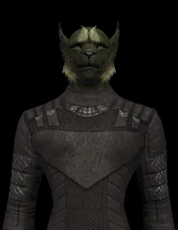 Ferasan Male 02