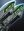 Disruptor Dual Heavy Cannons (23c) icon.png