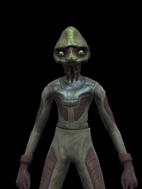 Elachi Ensign 03