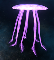 A Farpoint Cnidarian