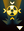 Aceton Beam icon (Federation)