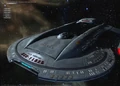 Early Dev.Ship